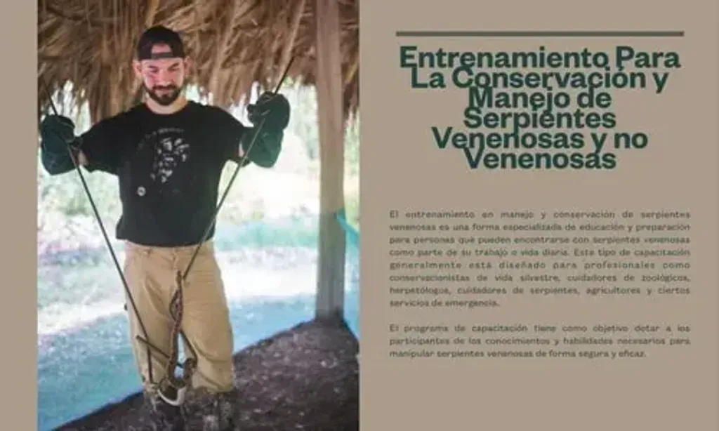 Mahuaquite Patrol — set in Agua Puerca, the center is situated within the biodiverse Huasteca Potosina region of Mexico. The atmosphere is one of an active agricultural and cultural farm, blending natural beauty with educational and artistic endeavors. Expect a vibrant environment where the jungle meets cultivated land, offering a rich sensory experience.