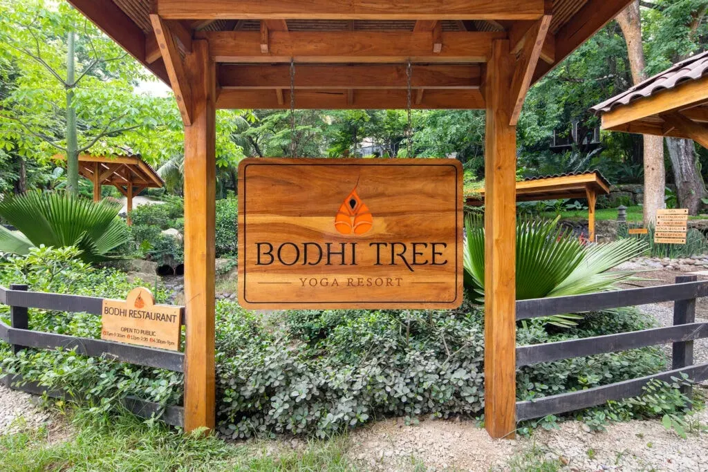 Malini — Situated within the Bodhi Tree Yoga Resort in Nosara, Costa Rica, the center is surrounded by the lush, tropical environment of Guanacaste province. The atmosphere is one of relaxed tranquility, with open-air dining and access to resort amenities that encourage both activity and repose.