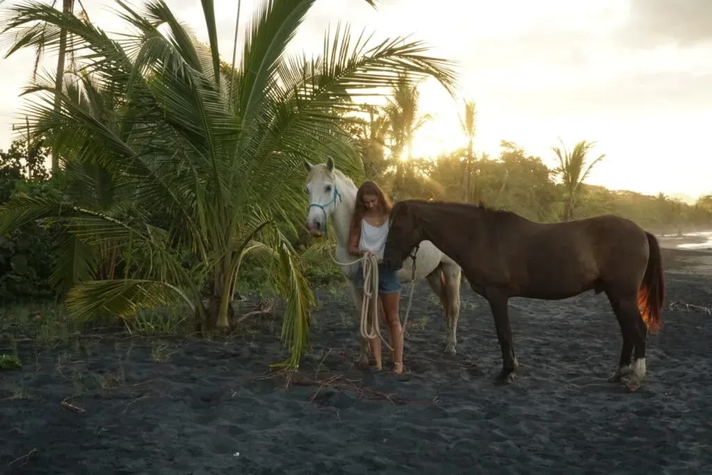 Mana - Horse and Yoga Retreat — set in Puerto Viejo, the retreat offers a serene environment where the gentle presence of horses in the garden creates a unique, calming atmosphere. The Caribbean coast provides a lush, natural backdrop for relaxation and self-discovery.