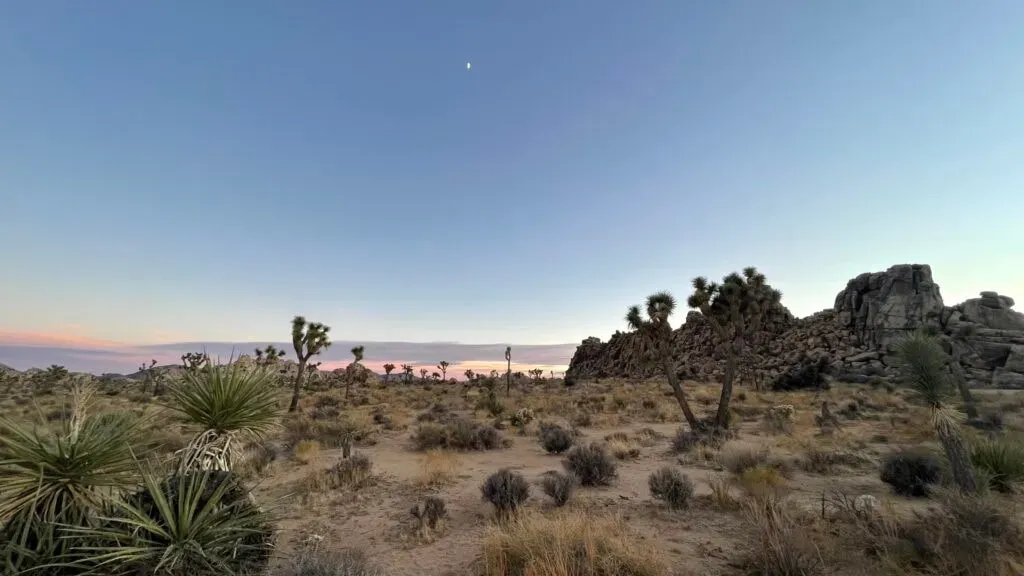 Mary — Located a short drive from the iconic Joshua Tree National Park, the center offers a desert setting known for its unique rock formations and tranquil, expansive landscapes. The atmosphere is one of quiet contemplation and natural beauty, providing a peaceful backdrop for introspection and connection.