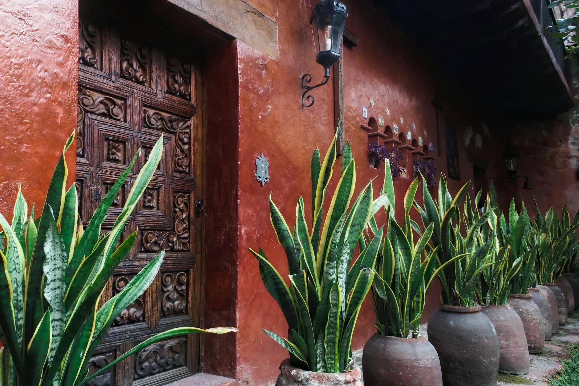 Medicinas ancestrales y psicoterapia — The exact location in Cuernavaca is shared upon confirmation, ensuring privacy and safety for all participants. The center emphasizes easy accessibility to its ceremony locations.