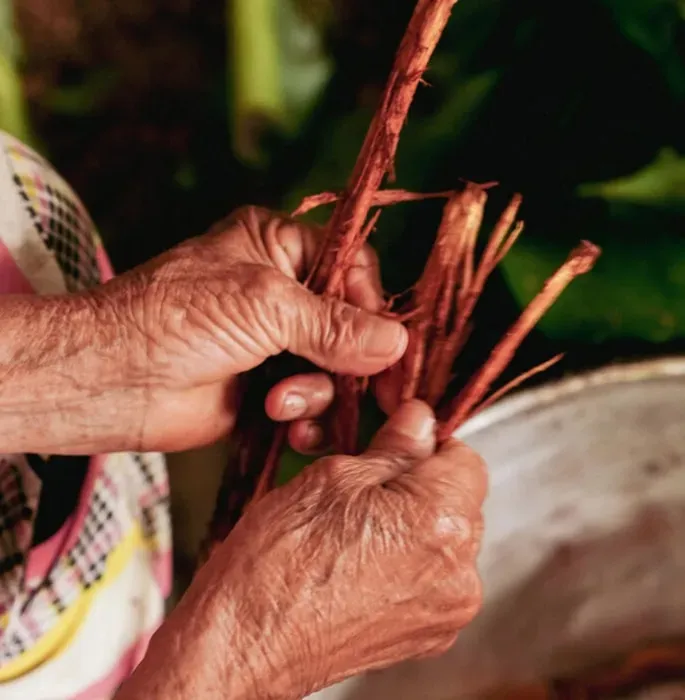 Meraki Path — set in the Ecuadorian Amazon, Meraki Path partners with the Kichwa community of Napusamai, offering a deep immersion into the lush, biodiverse environment. The setting provides a serene backdrop for introspection and connection with nature, far from the distractions of modern life.