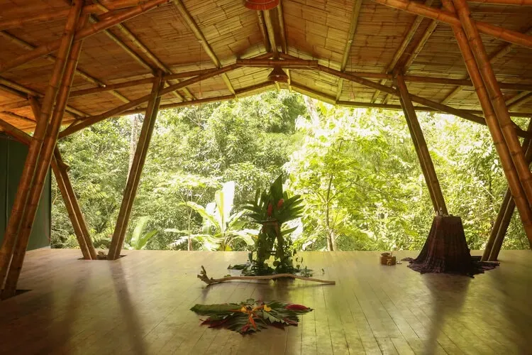 METAMORPHOSIS - A TRANSFORMATIONAL RETREAT FOR WOMEN — The retreat is situated in the breathtaking Diamante Valley of Costa Rica, specifically at Home Farm, an eco-conscious center. It boasts a prime location at the top of Nayuaca Falls, offering direct access to a pristine river and enveloped by the region's characteristic lush, vibrant natural surroundings. The atmosphere is one of deep communion with the Earth, fostering a sense of peace and natural harmony.