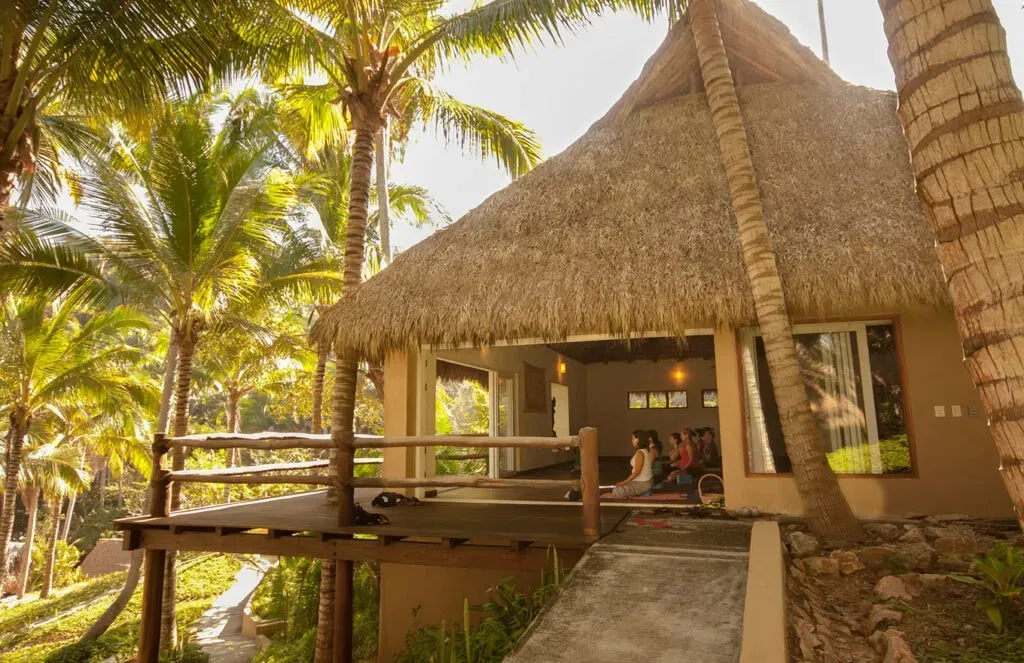 Metsa Nete — The center is situated within the expansive Punta Monterrey Resort, encompassing 300 acres of vibrant jungle. This natural environment, with its lush rainforest and clear waters, provides a serene and powerful backdrop for introspection and healing, fostering a true sense of sanctuary.
