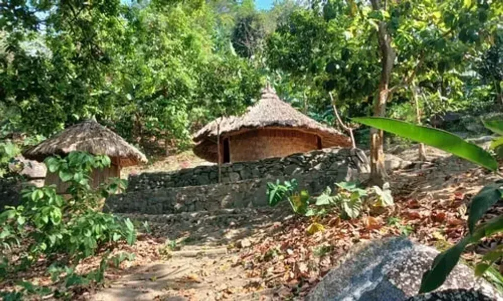 Minca Retreat — set deep within the verdant jungle near Santa Marta, Colombia, Minca Retreat provides an immersive natural environment. The atmosphere is one of profound tranquility, punctuated by the sounds of wildlife and the rustling of leaves. It's a place where the vibrant ecosystem becomes an integral part of the healing journey, offering a serene backdrop for introspection and renewal.