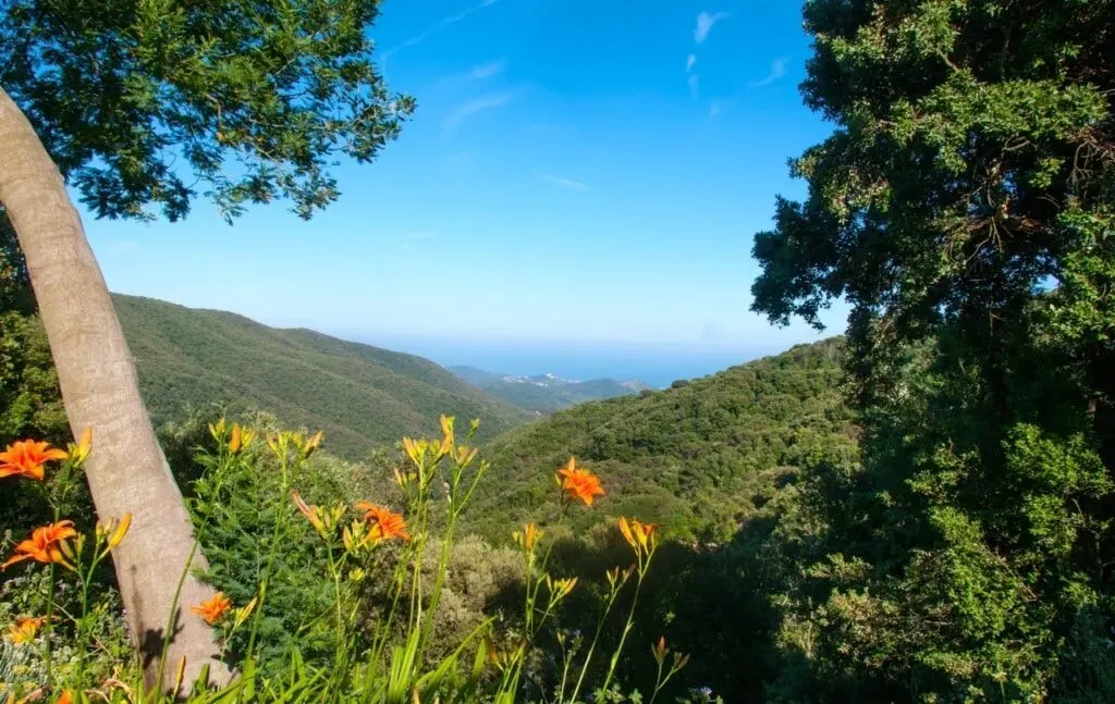 Mindfulness Taining Ltd. — Located near the vibrant city of Barcelona, the center provides a serene and supportive environment. The exact venue, Can Benet Vives, offers a tranquil escape from urban life, allowing participants to fully immerse themselves in the retreat experience. The Spanish landscape provides a beautiful backdrop for introspection and connection.