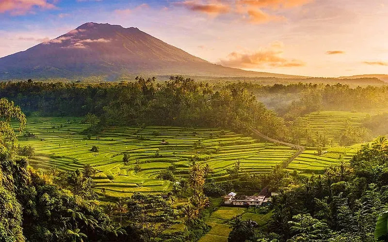 Mindless — set within Bali’s UNESCO-protected Jatih Luwih rice terraces, the center is surrounded by lush jungle, sacred mountains, and natural springs. The atmosphere is one of tranquility, with fresh mountain air, calming nature sounds, and breathtaking sunsets creating a serene backdrop for introspection and healing.