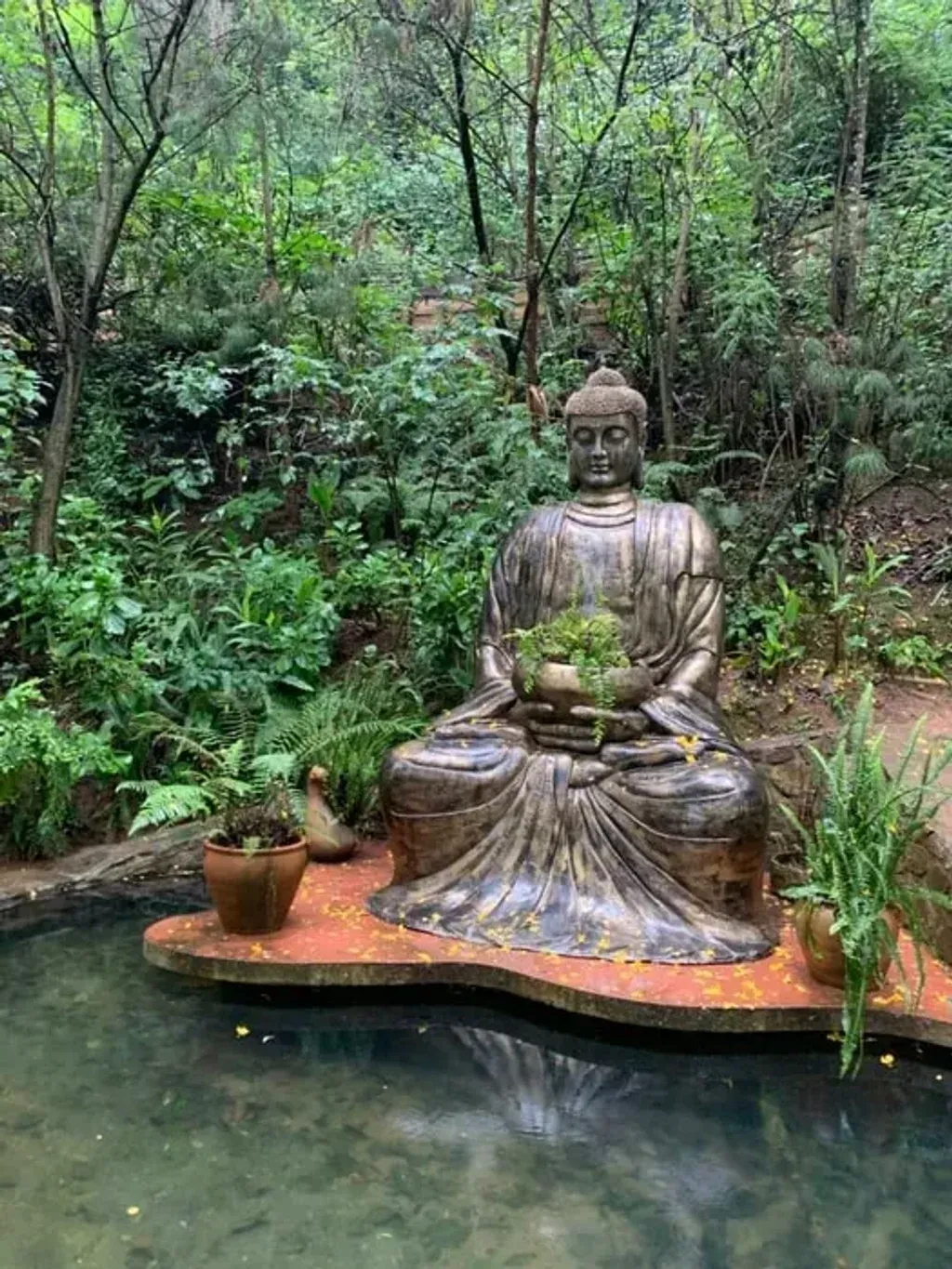 My Plant Medicine Journey — retreat center