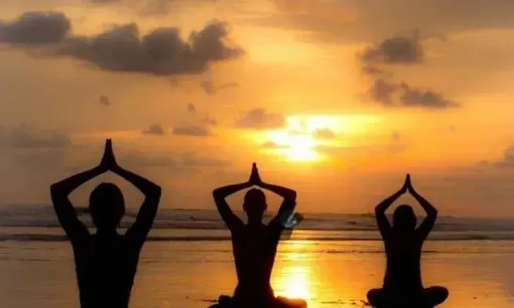 Mystic Treehouse Meditation Retreat — The retreat is located in Puerto Viejo, a vibrant town on Costa Rica's Caribbean coast. Surrounded by tropical flora and the sounds of nature, the atmosphere is one of relaxed tranquility, ideal for introspection and connection with the natural world. The community center venue fosters a sense of shared journey among participants.