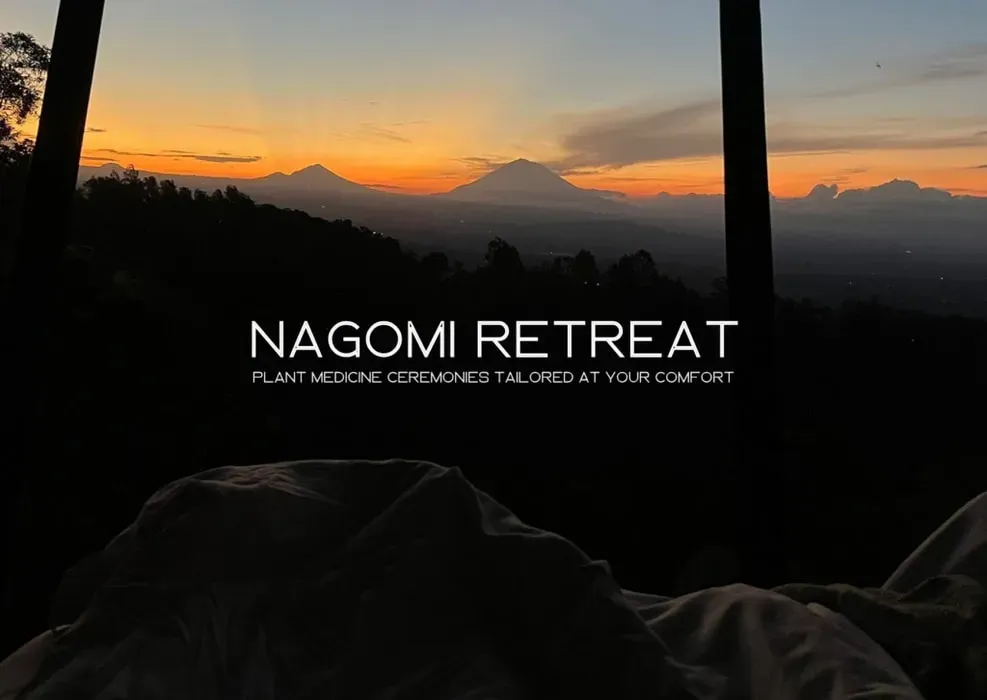 Nagomi retreat — Nagomi Retreat operates without a fixed physical location, instead utilizing carefully selected private accommodations or other suitable venues within Amsterdam. This flexible approach allows for an intimate and personalized atmosphere, aligning the environment with the specific needs of each retreat.