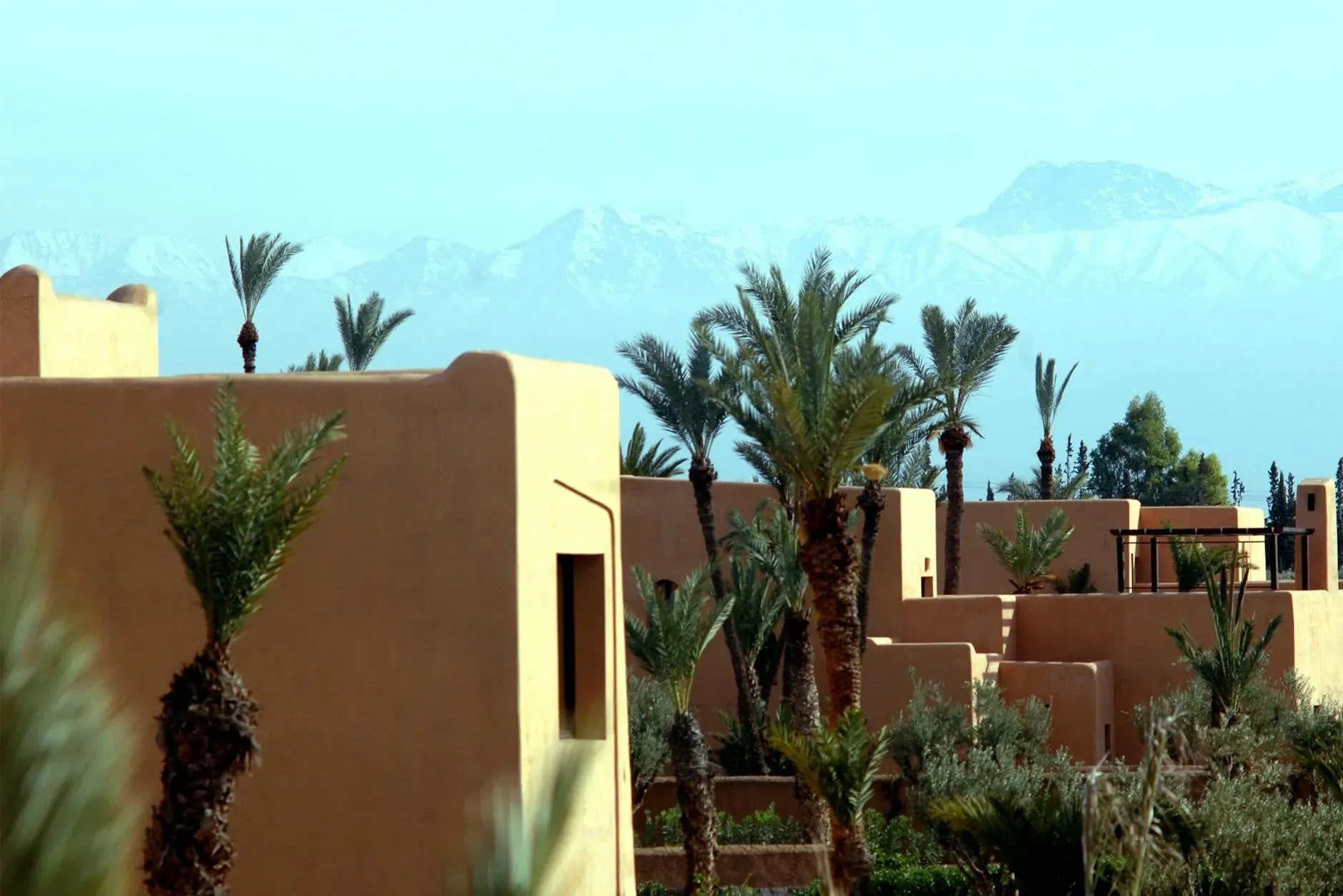 Nella Retreats — Nella Retreats are primarily based in Marrakech, utilizing beautiful traditional Moroccan riads with authentic architecture and cozy courtyards. The atmosphere is serene, with outdoor terraces and gardens ideal for quiet contemplation. Some retreats extend to the vast Sahara desert, offering a camp experience with stunning dune views and starry nights, or to the soulful Moroccan coast, providing a deep connection to nature.