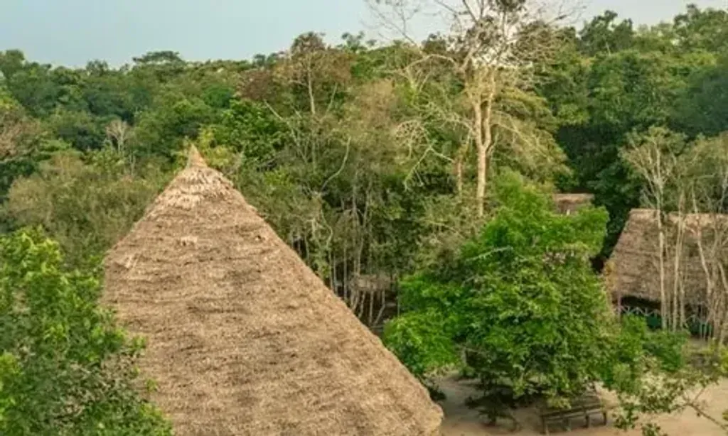 Nihue Rao — Nihue Rao is situated in the lush Peruvian Amazon rainforest, providing a natural and serene environment for deep healing and spiritual exploration. The location in Llanchama, just an hour from Iquitos, offers both accessibility and a profound sense of immersion in nature, away from urban distractions. The air is thick with the sounds and scents of the jungle, creating an atmosphere conducive to introspection and connection with the natural world.