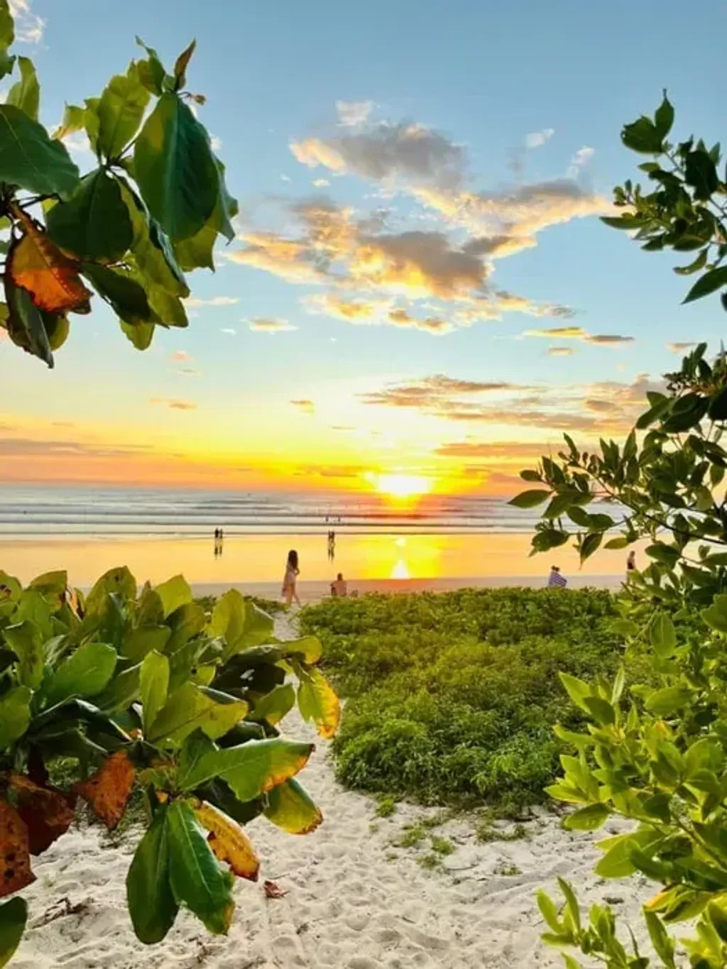 Nirvana Retreat — Nirvana Retreat is situated in the bustling downtown area of Nosara, Costa Rica, offering a lively atmosphere and easy access to local life. The center is conveniently located within walking distance of the area's famous white sand beaches, providing a perfect blend of cultural immersion and natural beauty.