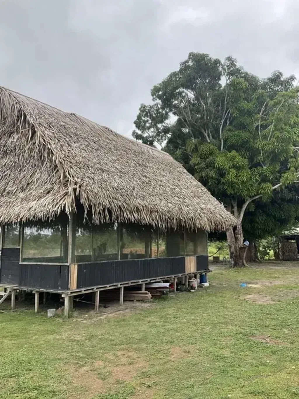 Niwe Nete Healing Center — The center is situated on Isla San Francisco, suggesting a serene and perhaps remote island environment. The focus on plant medicine implies a connection to nature and a setting conducive to introspection and healing.
