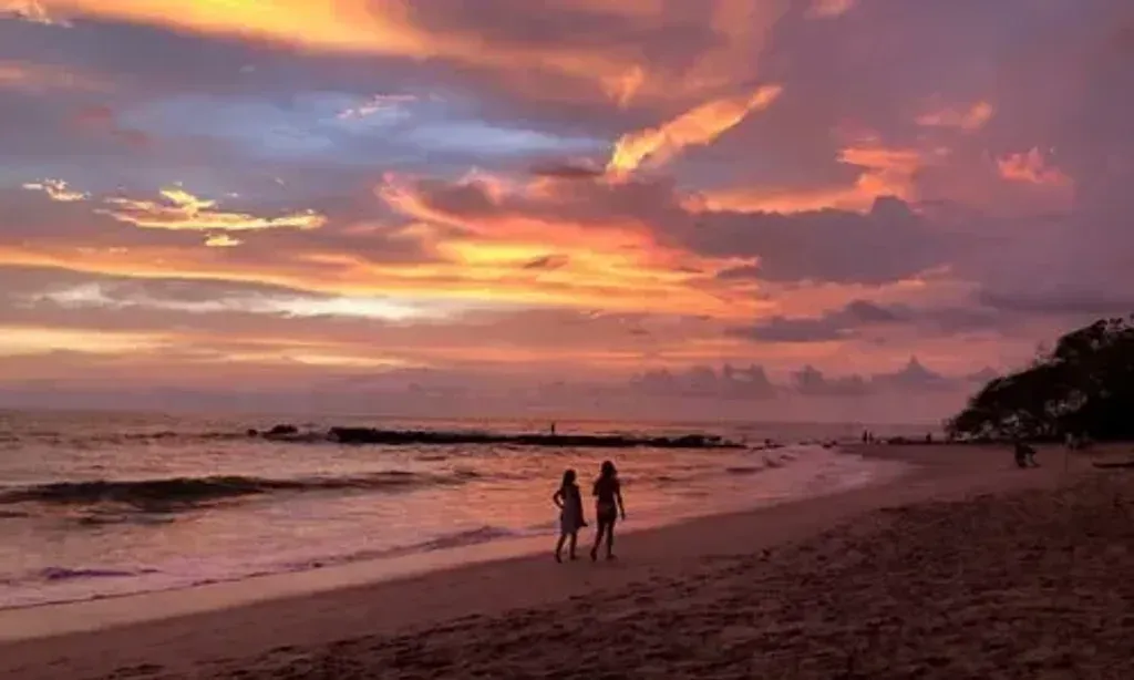 Nixiwaka — The center is set within a peaceful forest on Costa Rica's mid-Pacific coast, about 3 km from the ocean. This private venue offers a tranquil and secluded atmosphere, ideal for deep introspection and connection with nature.