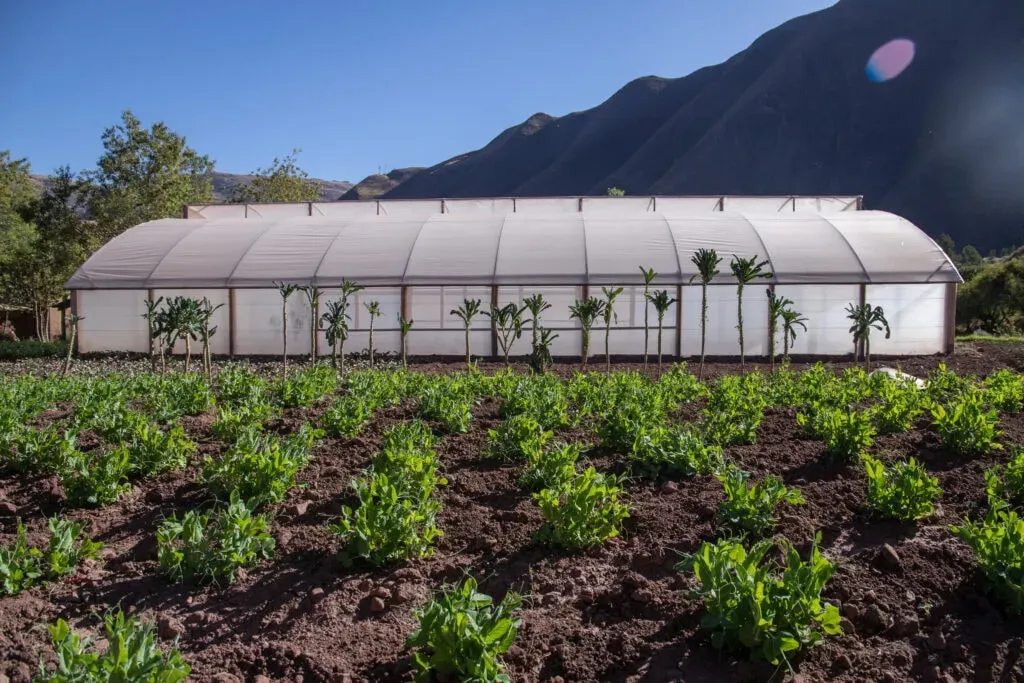 Nuiti Retreats — set within the mystical Sacred Valley of the Incas, the center is surrounded by beautiful gardens and offers stunning mountain views. This natural environment is integral to the retreat's mission, providing a serene and inspiring backdrop for healing and introspection.