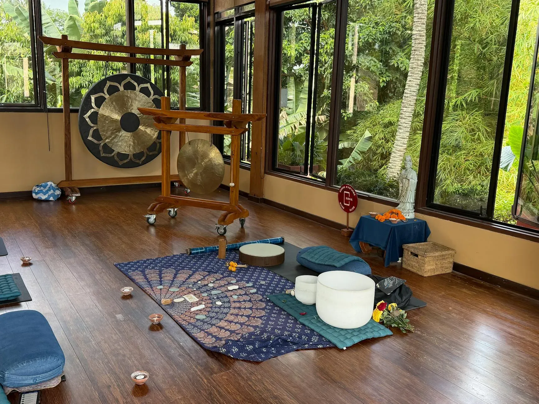 Ojaya Deep Meditation — This online course takes you to a virtual Earthborn Rainforest, providing an immersive backdrop for your meditation practice. While you remain in your own home, the digital environment aims to create a sense of connection to nature.