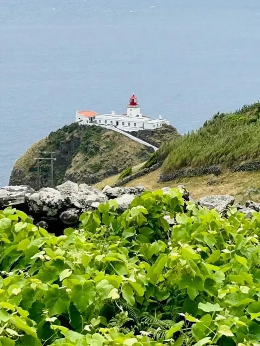 Olga Brouwer — The retreat is situated near Maia on Santa Maria Island, Azores, at Casa Aldeia. This large, spacious home is set in a quiet, rural setting close to the coast, providing a tranquil environment. The island itself is characterized by its natural beauty, with ample opportunities to explore the surrounding landscapes.