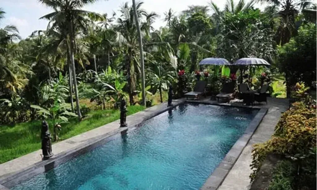 One Breath Institute — set in the lush, natural landscapes of Bali, the center is surrounded by verdant beauty, offering a tranquil and inspiring environment. The venue features open common areas designed for dining and socializing, fostering a sense of community amidst the serene Balinese scenery.