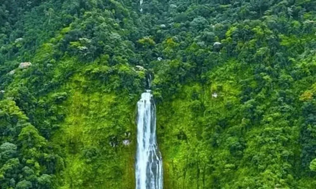 Open Paths Retreat — The retreat is situated in the verdant Diamante Valley of Costa Rica, a region known for its natural beauty. The atmosphere is one of tranquility and connection to nature, providing a peaceful backdrop for introspection and healing.