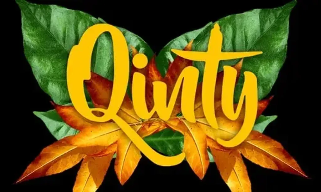 Organización Qinty — set deep within the Amazon jungle of Tarapoto, Peru, the center is a vibrant sanctuary teeming with life. The air is filled with the natural symphony of bird calls and the gentle murmur of running streams, creating an immersive and tranquil atmosphere conducive to deep healing and introspection.