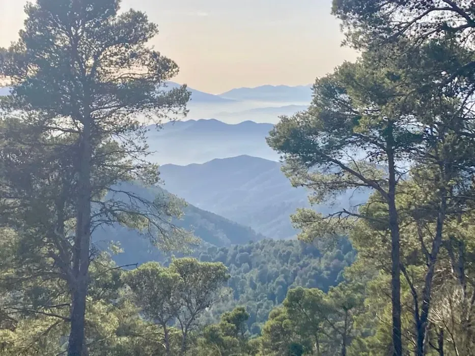 Osnova — Perched in the Montes de Málaga Natural Park, Osnova boasts a tranquil mountain setting with breathtaking views of the sea. The natural surroundings offer a serene backdrop for reflection and exploration, just a short drive from the bustling city of Málaga.