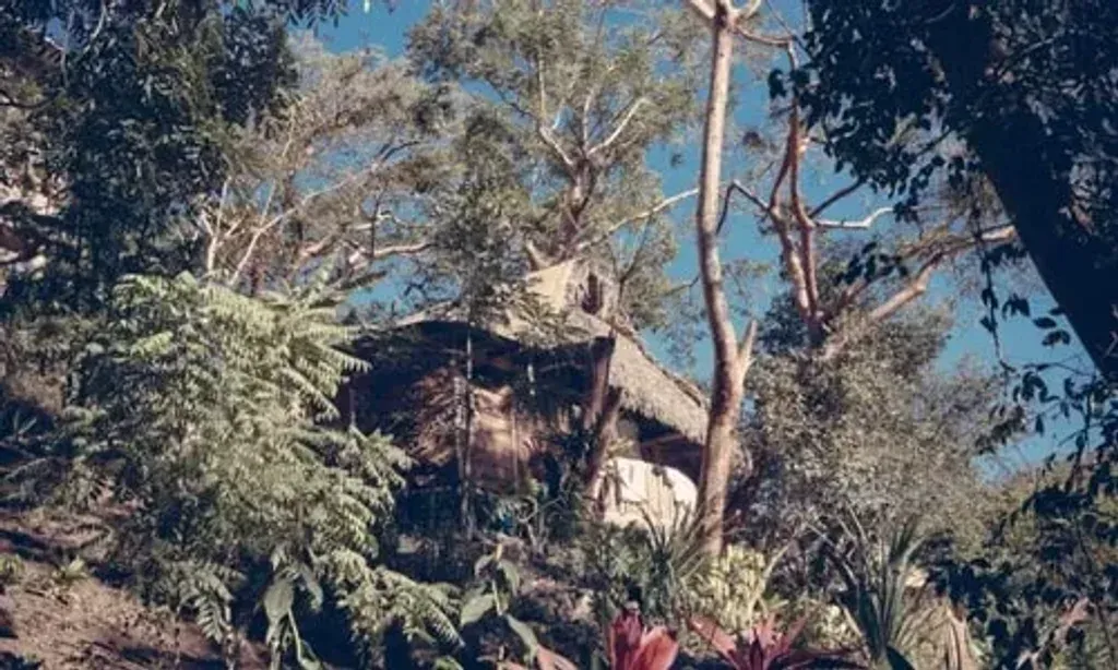 Our Future Is Ancient — set within the abundant jungle of Nayarit's Pacific coast, the center provides a serene escape. The vibrant natural surroundings offer a perfect backdrop for introspection and connection, with the added benefit of a secluded beach just a 15-minute walk away.