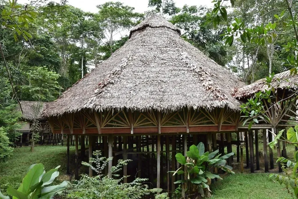 PachaSoul — set deep within the lush Amazon Rainforest near Iquitos, Peru, PachaSoul provides an immersive natural environment. The atmosphere is one of profound tranquility and connection to the earth, far removed from urban distractions. Expect to be surrounded by the vibrant sounds and sights of the jungle, fostering a deep sense of peace and introspection.