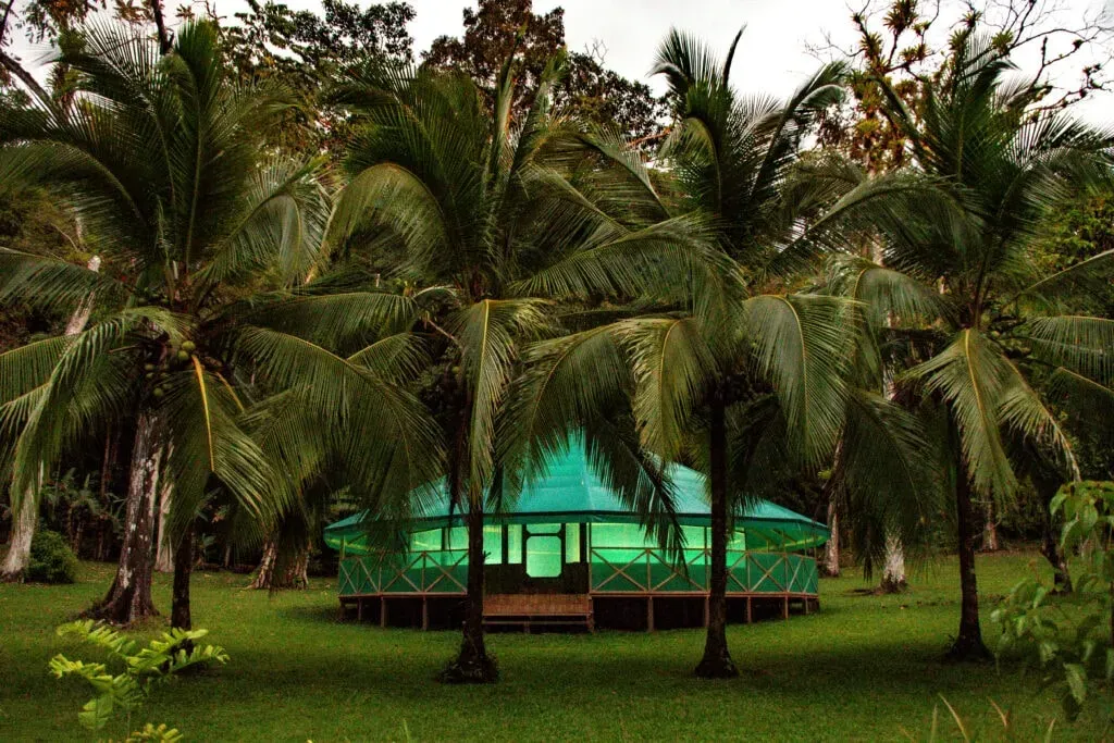 Pandorita — Pandorita is set within the breathtaking Osa Conservation Area, a region renowned for its staggering biodiversity, including the adjacent Piedras Blancas National Park and the Golfo Dulce. The sprawling property encompasses 345 acres of protected wild land and an additional 27 acres of resort area, featuring lush green lawns, a food forest, and hammocks scattered throughout, all contributing to a serene and deeply natural atmosphere.