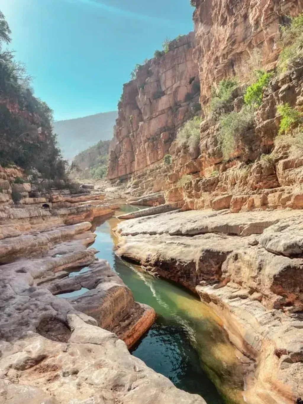 Paradise Valley Retreats — The retreat unfolds in a serene mountain landscape within Paradise Valley, an hour inland from Agadir. Surrounded by lush palm groves, dramatic cliffs, and inviting natural rock pools, the environment offers a tranquil escape. The air is fresh, and the views are expansive, providing a perfect backdrop for introspection and connection with the natural world.