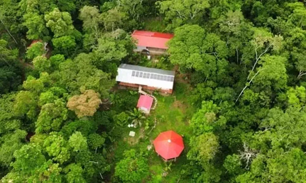Peace Life — The retreat takes place in a stunning location within the Amazon, or near Tarapoto, Peru. This area is rich with master plant medicines growing naturally, offering breathtaking views and an incredibly palpable energy that enhances the healing experience. It's a truly natural and potent environment for deep introspection and connection.