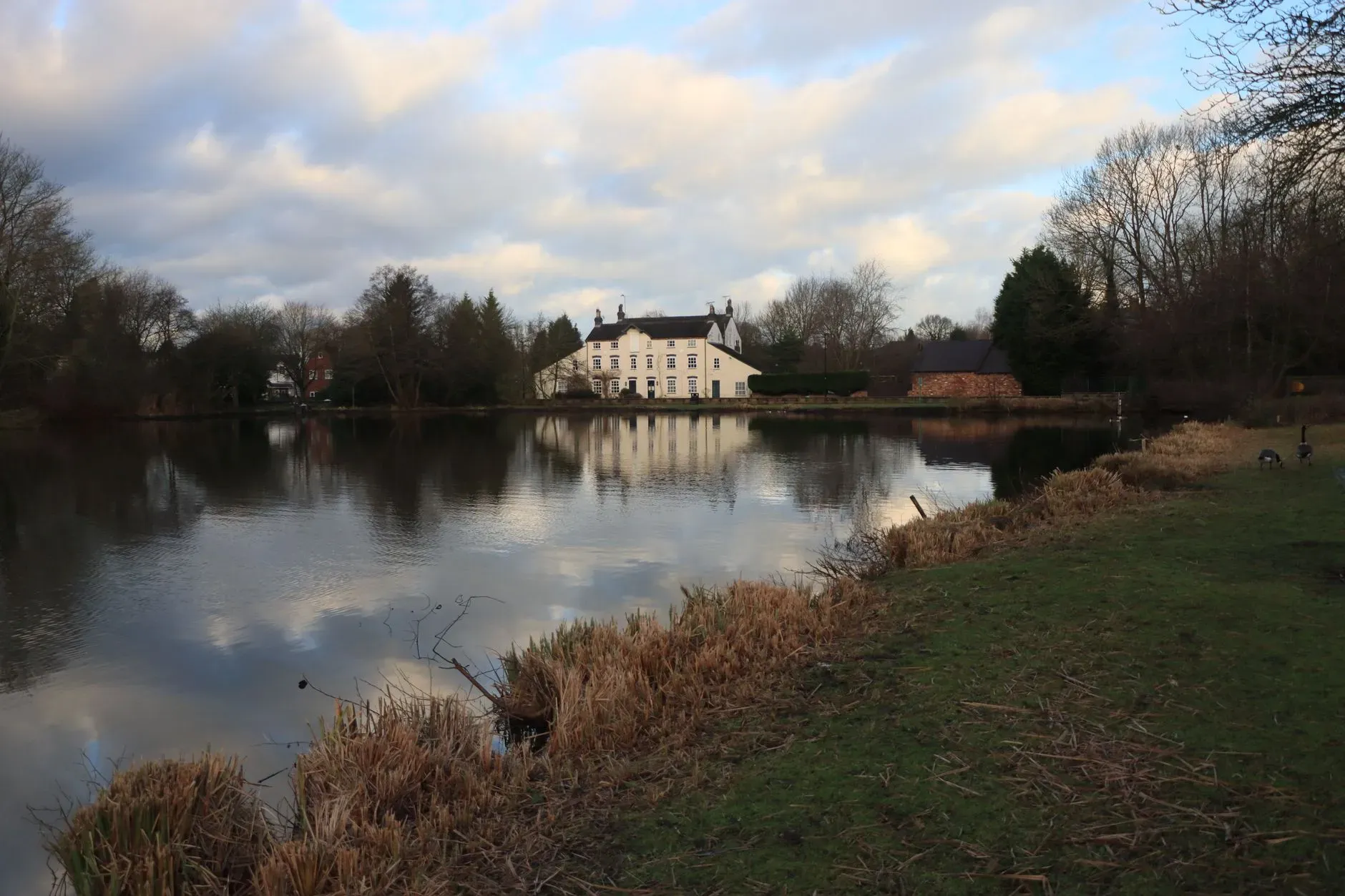 Petals and Pilates — retreat center
