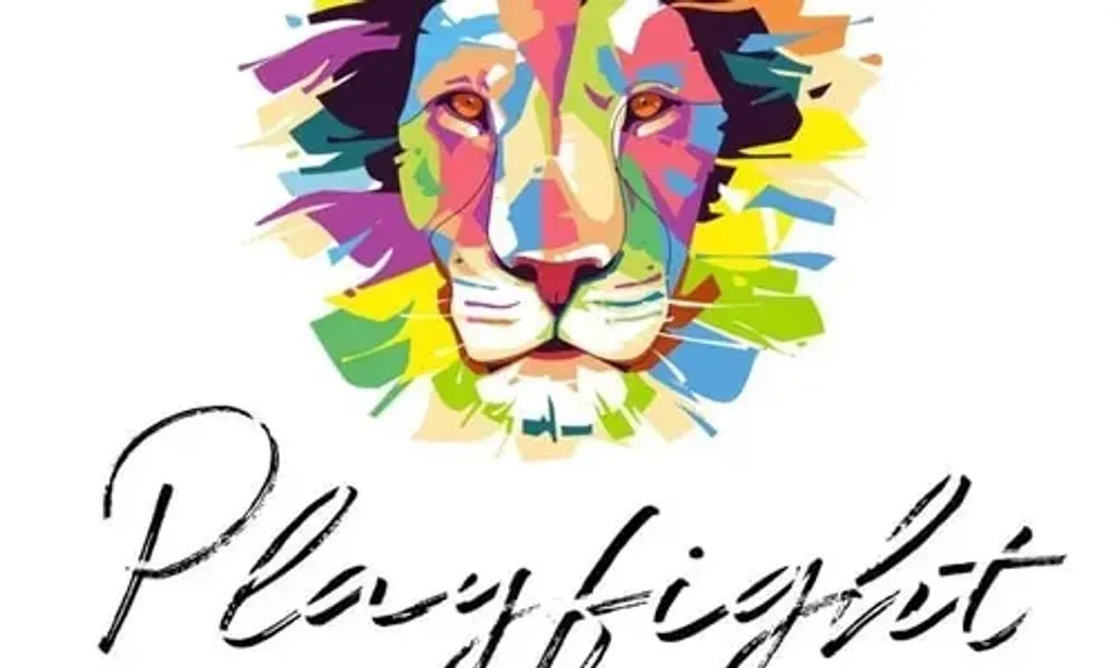 Playfight.org