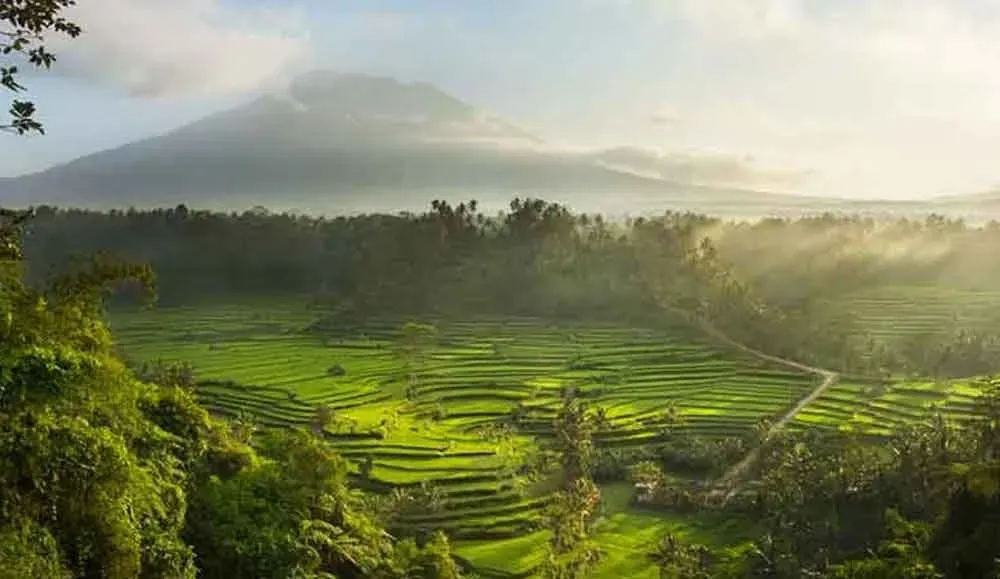 PRANA, BREATH & MIND — Sidemen, Bali, is known for its lush rice paddies, traditional villages, and stunning views of Mount Agung. This tranquil setting provides a peaceful backdrop for introspection and spiritual practice, far from the bustling tourist areas, allowing for a deep connection with nature and local culture.