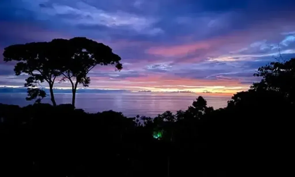 Primal Wellness Retreat — Located in Puntarenas, Costa Rica, the retreat is situated in a region known for its vibrant natural beauty. While specific details about the immediate surroundings are not provided, the emphasis on 'reconnecting with the healing power of nature' suggests a serene and natural environment, likely offering a tranquil escape from daily life.