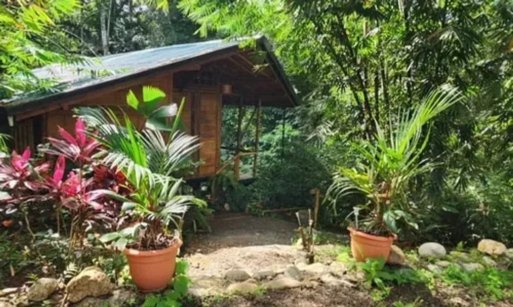 Psychedelic Resurrection — Located in Ojochal, a charming village in Costa Rica's Puntarenas province, the center is set amidst the lush tropical beauty of the region. While specific details about the immediate surroundings are not provided, Ojochal is known for its vibrant natural environment, close to both the Pacific coast and verdant rainforests.