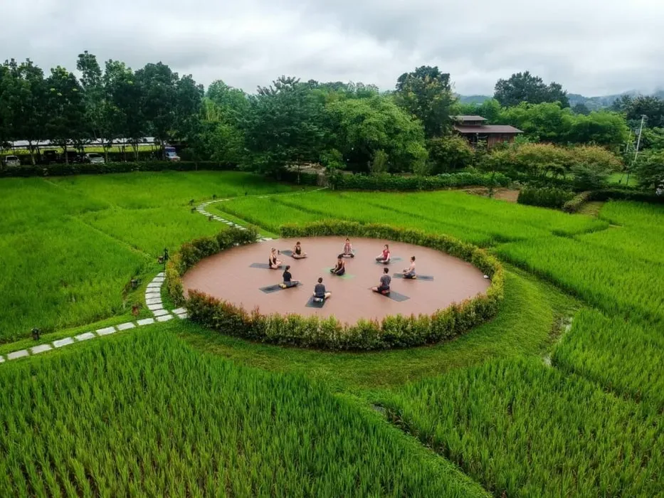 Psynergetic Experience — set in the picturesque landscape of Pai, the center is enveloped by misty mountains, verdant rice fields, and the soothing presence of waterfalls and hot springs. This natural sanctuary fosters an atmosphere of profound tranquility and introspection, where the quiet forests and expansive skies invite deep self-reflection.