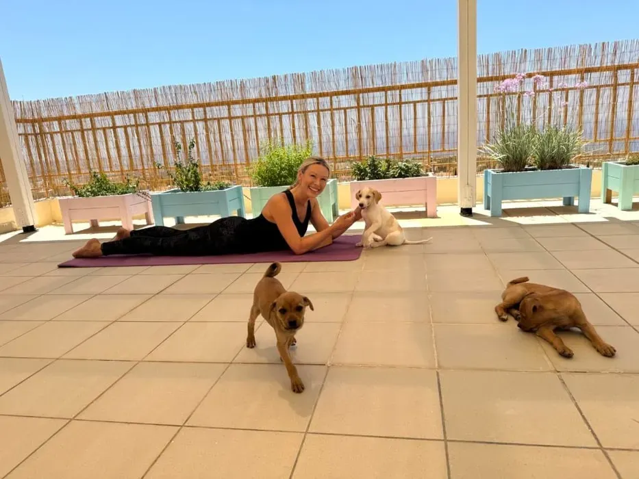 Puppy Yoga Retreat — The retreat is housed in a peaceful villa situated between the sea and mountains in Peyia, Cyprus. Guests can enjoy stunning views, a private yoga room, a rooftop terrace, and a pool. The property is surrounded by vibrant flowers and palm trees, just a short 7-minute drive from the beach, offering a serene and beautiful environment for relaxation and reconnection.