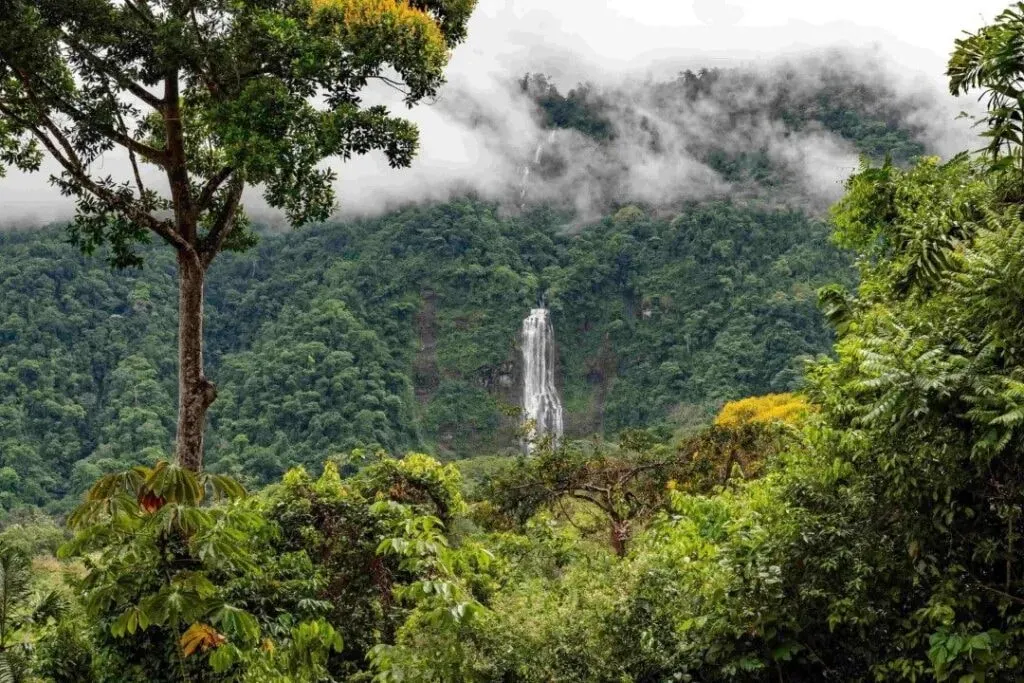 Pura Vida Wellbeing Retreats — The retreat is situated in an enchanting eco-luxe villa, set between the vibrant jungles of Manuel Antonio and the stunning Diamante Valley. Guests are treated to views of Costa Rica’s tallest waterfall, surrounded by the sounds of wildlife and fresh mountain air, creating a truly immersive natural experience.