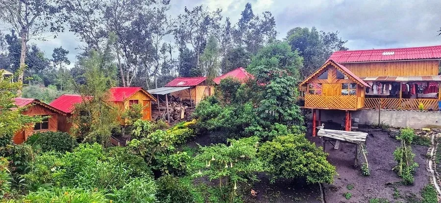 Putumayo Healing Tours — Putumayo Healing Tours is situated in the lush, vibrant landscapes of Colombian Putumayo. The natural environment provides a serene and powerful backdrop for deep healing and introspection, fostering a sense of connection to nature and ancient traditions.