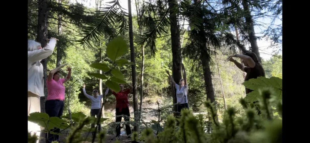 QIGONG.FAMILY — set in the picturesque Swiss Alps, the center in Anzère provides a tranquil backdrop for introspection and rejuvenation. Surrounded by stunning alpine trails, the natural environment is an integral part of the retreat experience, inviting mindful walks and a deep connection with the outdoors.