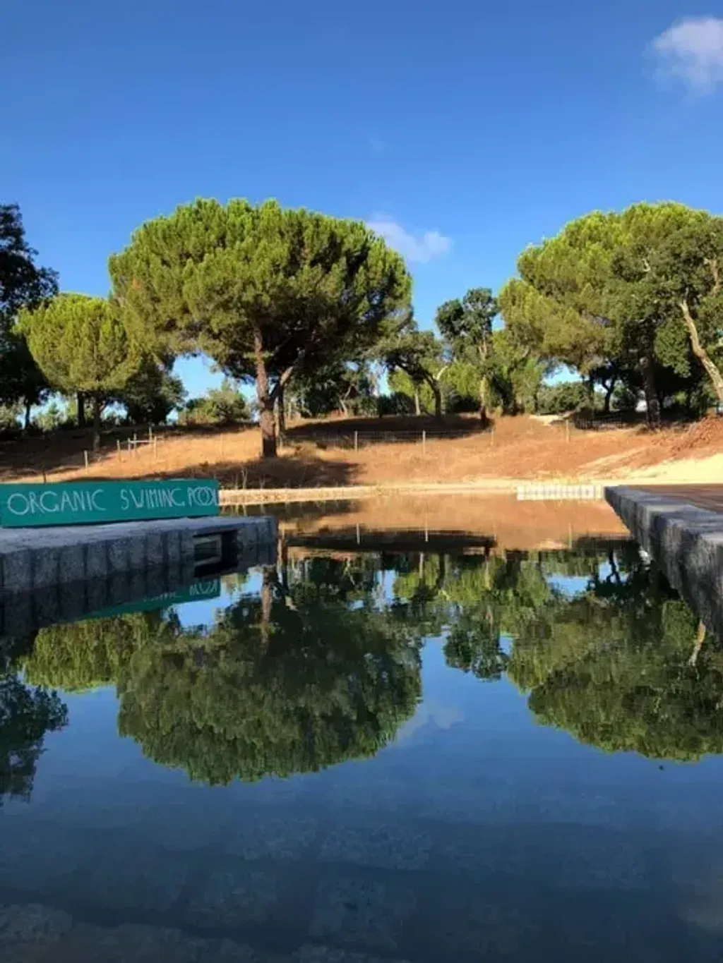 Quinta Alada — Quinta Alada is set within 8 hectares of a 'sacred forest' in Lavre, Portugal, providing a deeply natural and peaceful environment. The atmosphere encourages guests to immerse themselves in the outdoors, fostering a sense of calm and connection with the earth.