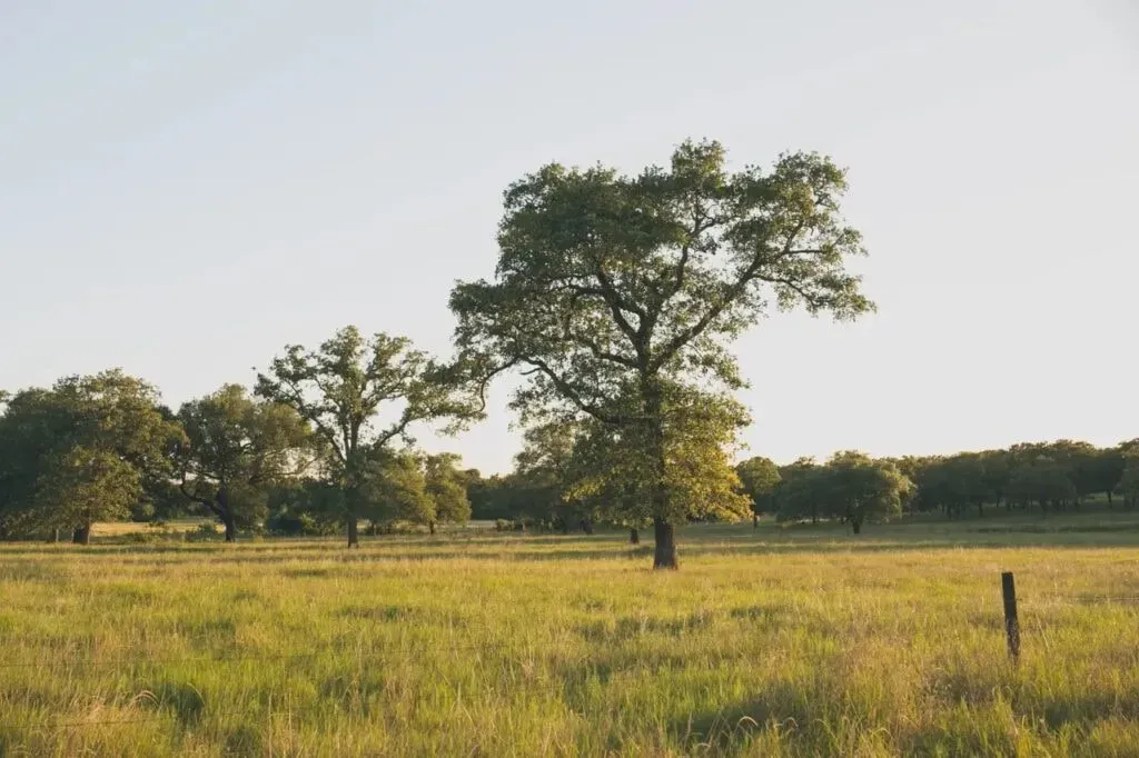 Radiant Resilience Retreat — Set on 53 acres in Paige, Texas, the retreat offers a blend of cultivated comfort and natural beauty. Guests can explore trails, relax in meadows, and find quiet nooks within oak groves. The property is designed to provide both communal gathering spaces and opportunities for individual reflection amidst the tranquil Texan landscape.