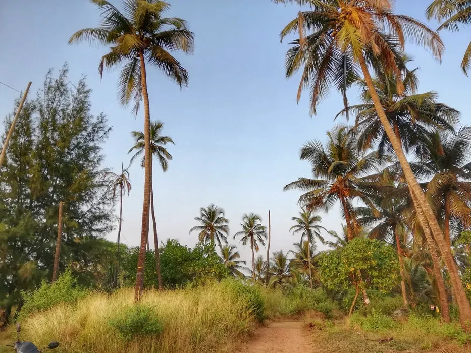 rakaialakshmi