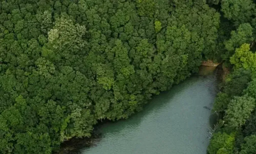 Recalling Fire — The center is situated at Penperth Cottage, deep within ancient oak woodland in a private creek, making it one of Cornwall's most secluded locations. The atmosphere is one of profound tranquility and connection to the natural world, with opportunities for wild swimming in the river and enjoying meals cooked outdoors over fire.