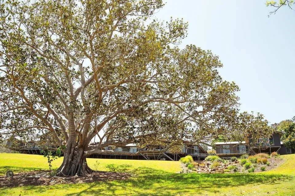 Reclaim Her — The retreat is situated in a quiet, private valley in Pullenvale, Queensland, offering tranquil views across to Moggill State Forest. This luxurious hideaway oasis spans ten acres, with mountains forming a natural backdrop, providing a serene and natural environment for relaxation and introspection.