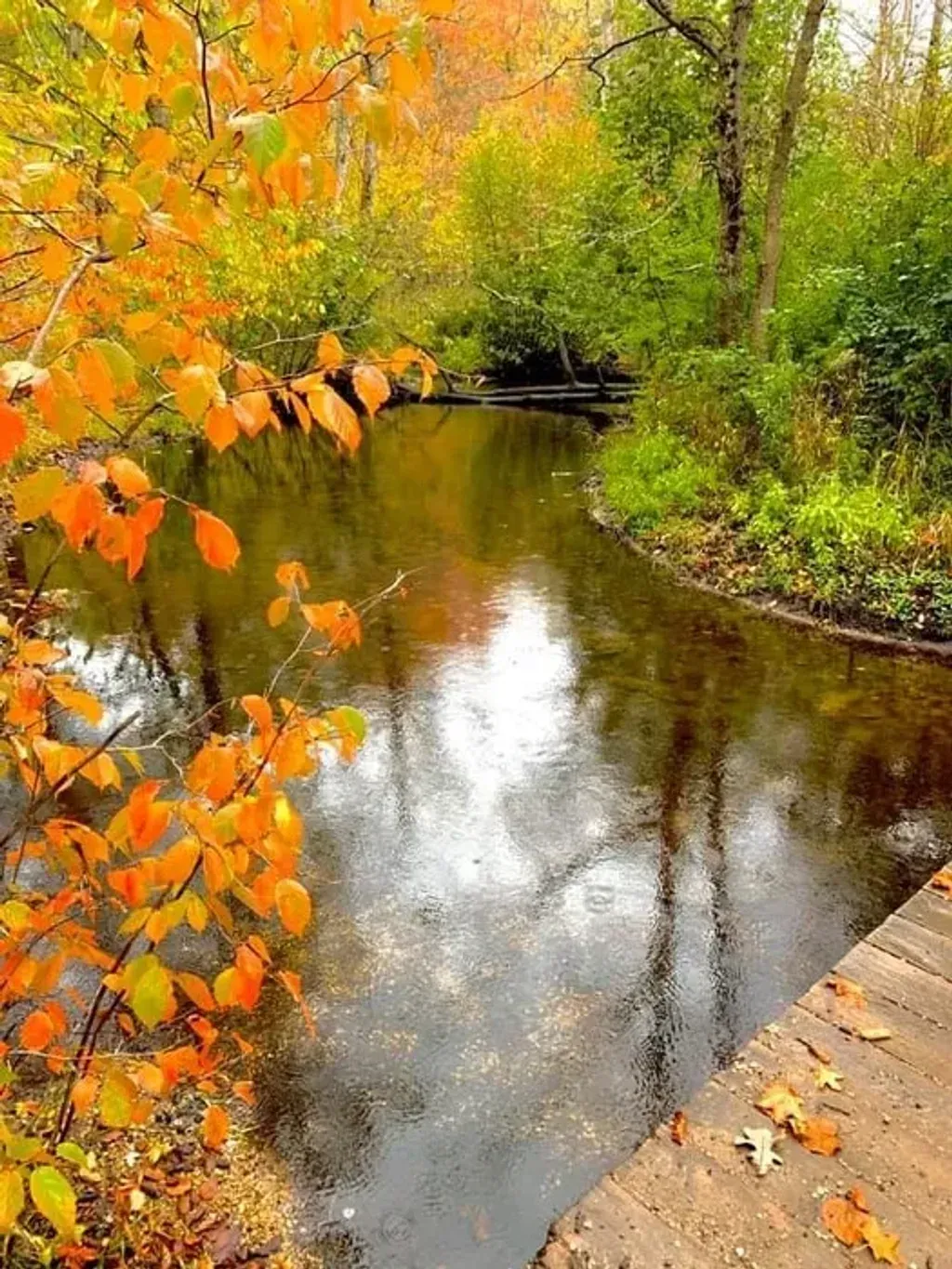 Reflections of You Wellness Retreat — The retreat is situated in a private home on a beautiful lake in Plainwell, Michigan. The area is particularly stunning in the fall, with vibrant foliage, and offers opportunities for water activities, hiking, bird watching, or simply relaxing and enjoying the natural scenery.