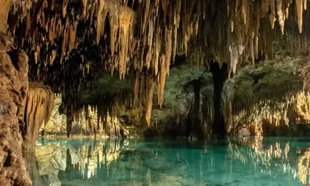 Reinassance Retreat — The retreat is situated on the Yucatan Peninsula, amidst the vibrant, lush Mayan jungles of Mexico. The Paledora Resort boasts a natural water spring cave on its property, offering a truly immersive experience in nature's splendor. It's a paradisiacal boho-chic environment, blending luxury with rustic charm.