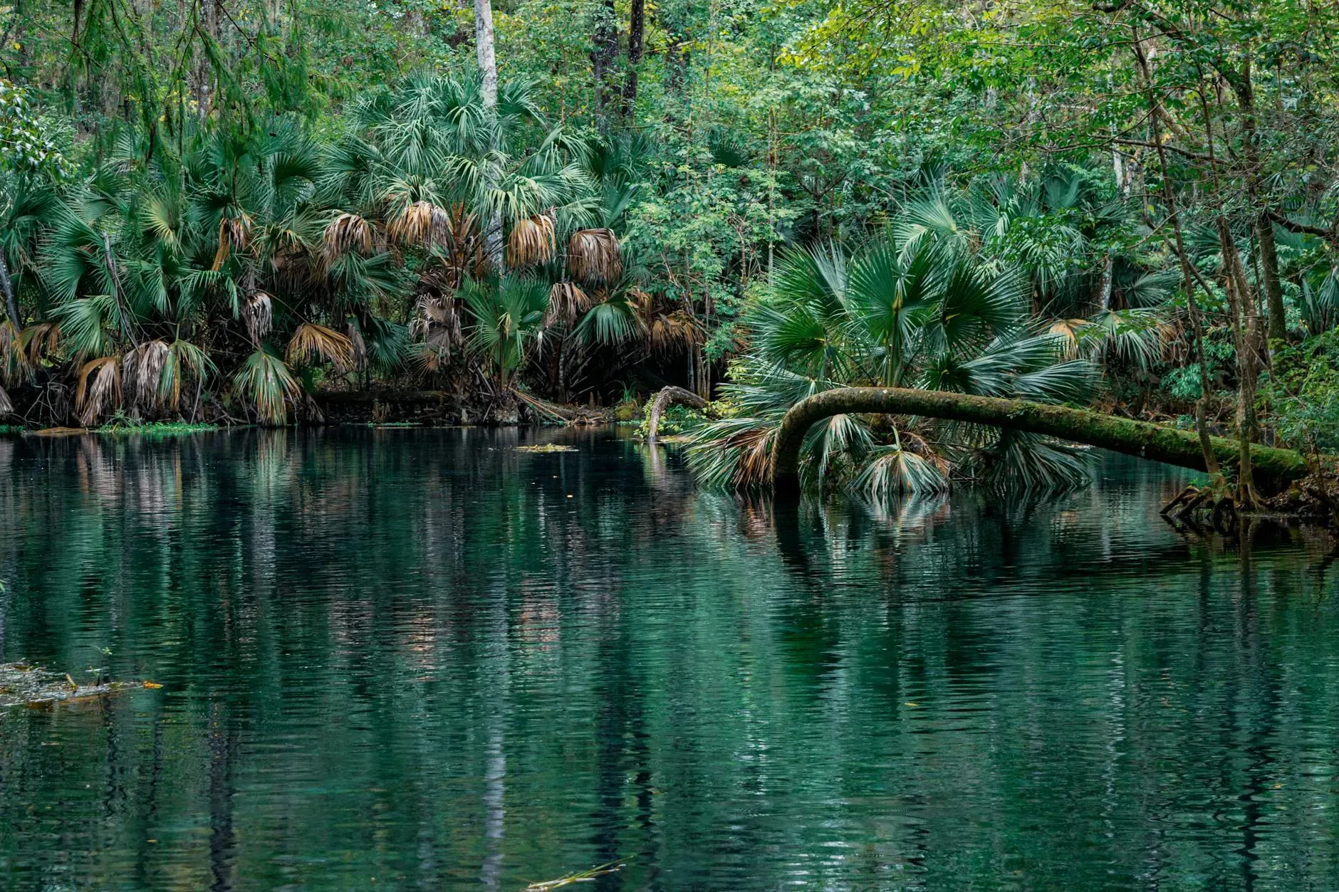 Relationships Emergency Room — The exact venue details are kept private until booking, but the location in Ocala, USA, suggests a serene environment conducive to healing and personal growth.