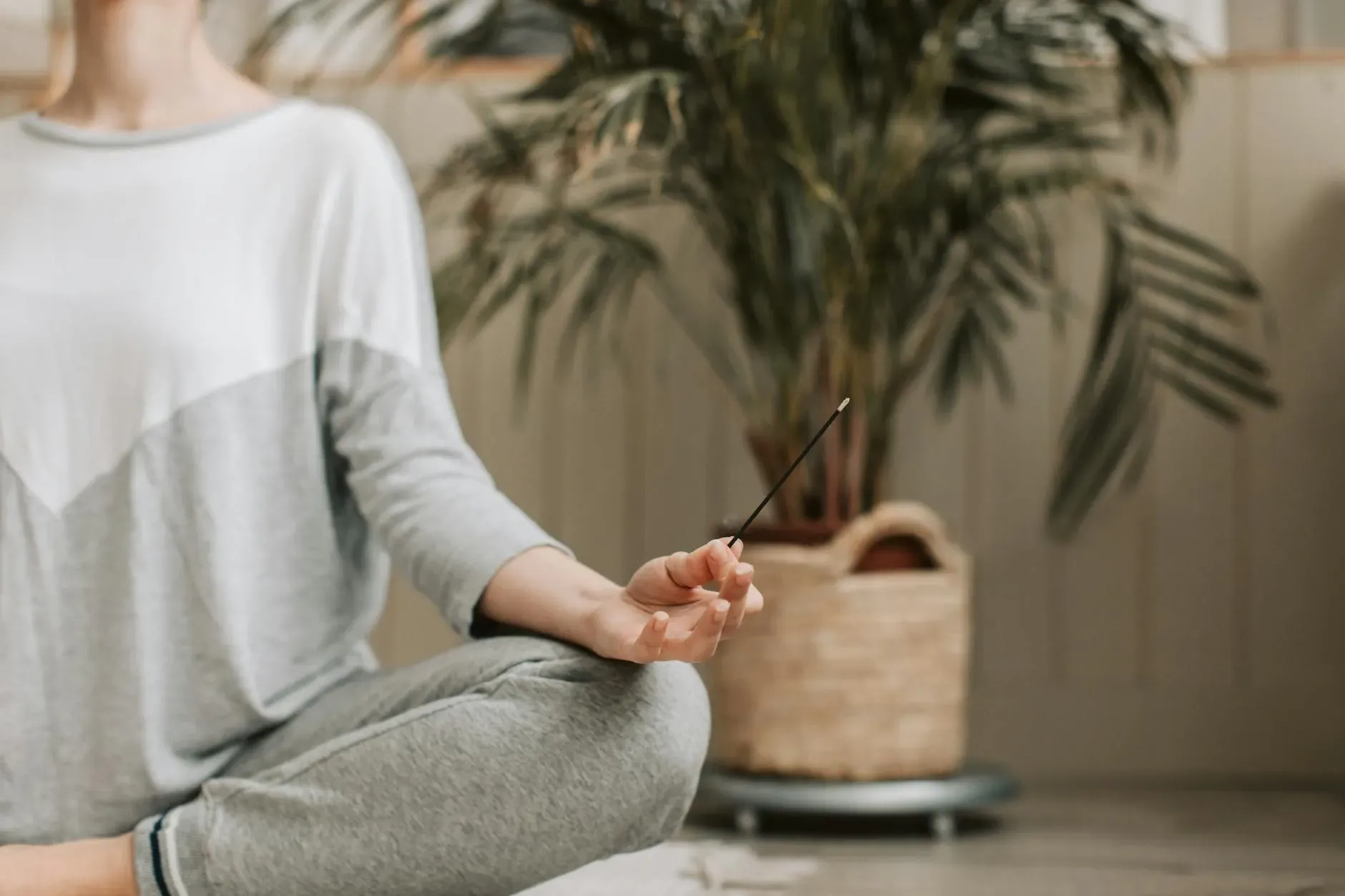 Reloveution — Reloveution's retreats are held at the Stony Point Center, a serene 13-acre property in Stony Point, NY. The grounds offer a peaceful escape, providing ample space for reflection and connection with nature, including access to a swimming pool.